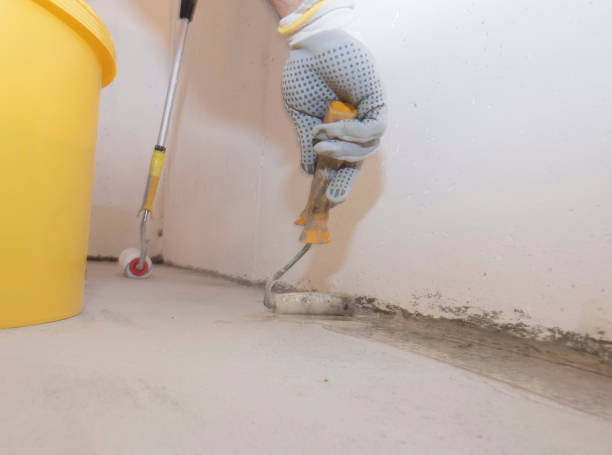 Best Pest Prevention Services  in Margate City, NJ